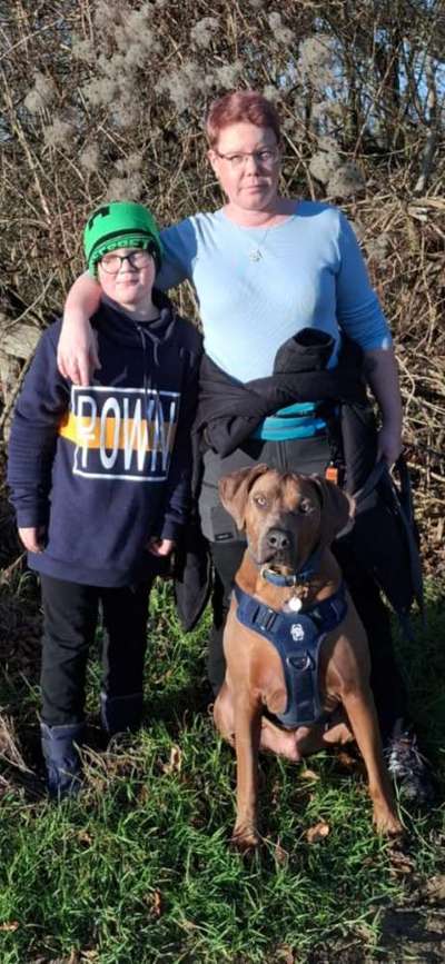 Rhodesian Ridgeback-Beitrag-Bild