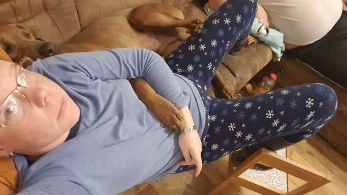 Rhodesian Ridgeback-Beitrag-Bild