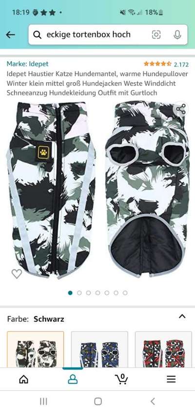 Rhodesian Ridgeback-Beitrag-Bild