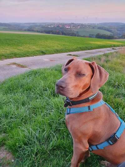 Fotochallenge Nr 107-Beitrag-Bild