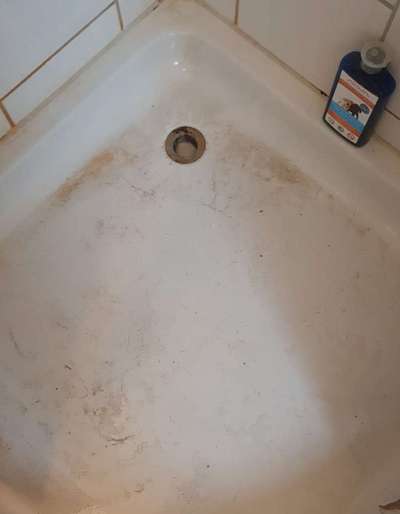 Rhodesian Ridgeback-Beitrag-Bild