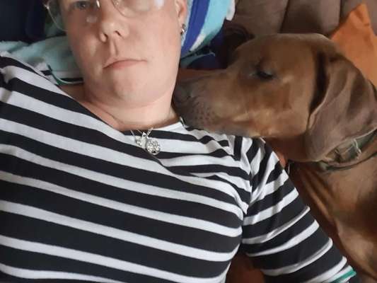 Rhodesian Ridgeback-Beitrag-Bild