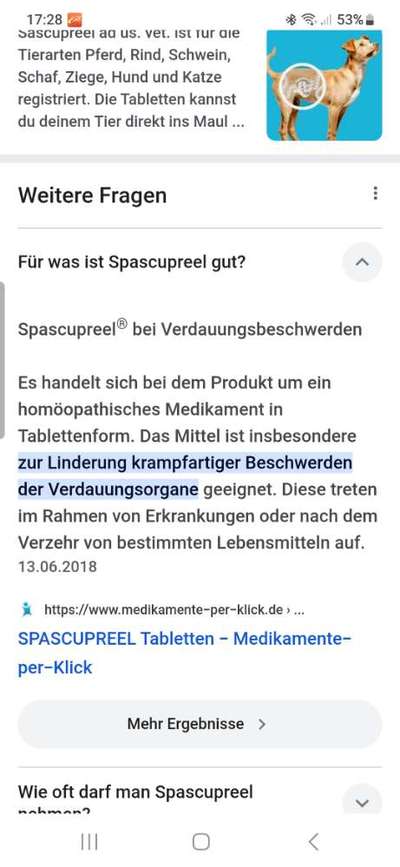 Rhodesian Ridgeback-Beitrag-Bild