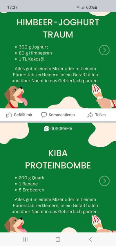 Rhodesian Ridgeback-Beitrag-Bild