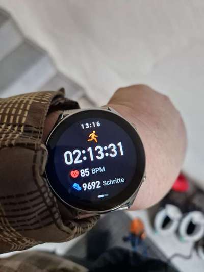 Rhodesian Ridgeback-Beitrag-Bild