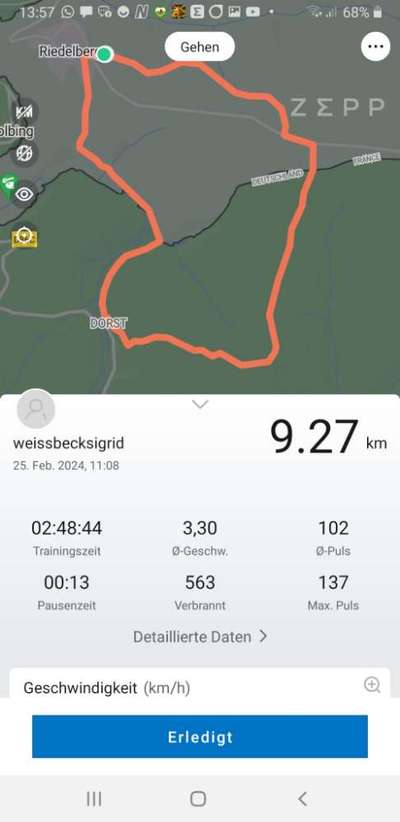 Rhodesian Ridgeback-Beitrag-Bild