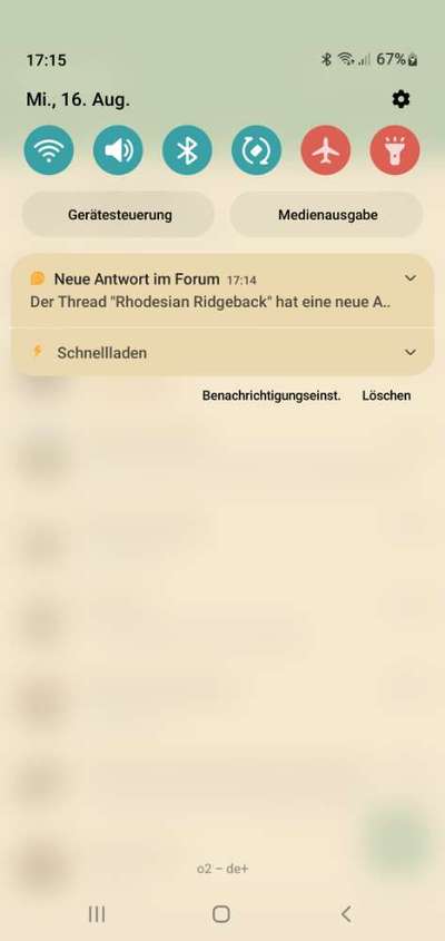 Rhodesian Ridgeback-Beitrag-Bild