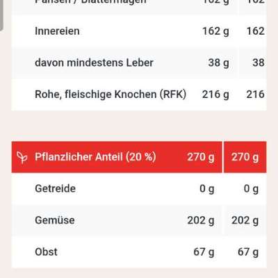 Rhodesian Ridgeback-Beitrag-Bild