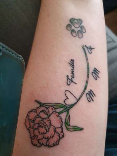 Rhodesian Ridgeback-Beitrag-Bild