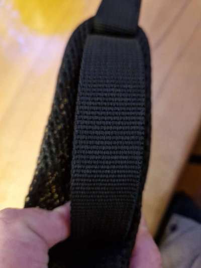 Rhodesian Ridgeback-Beitrag-Bild