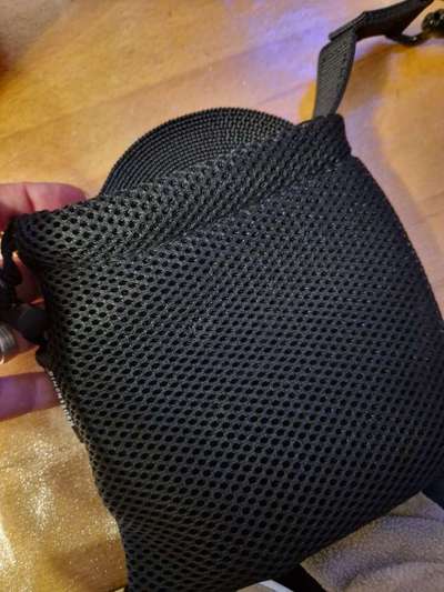 Rhodesian Ridgeback-Beitrag-Bild