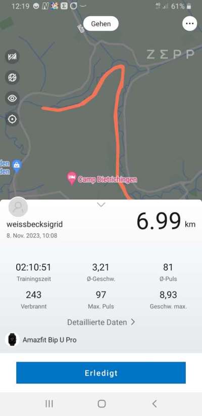 Rhodesian Ridgeback-Beitrag-Bild