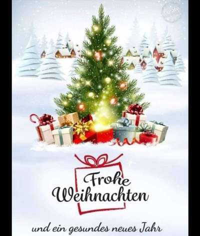 Rhodesian Ridgeback-Beitrag-Bild