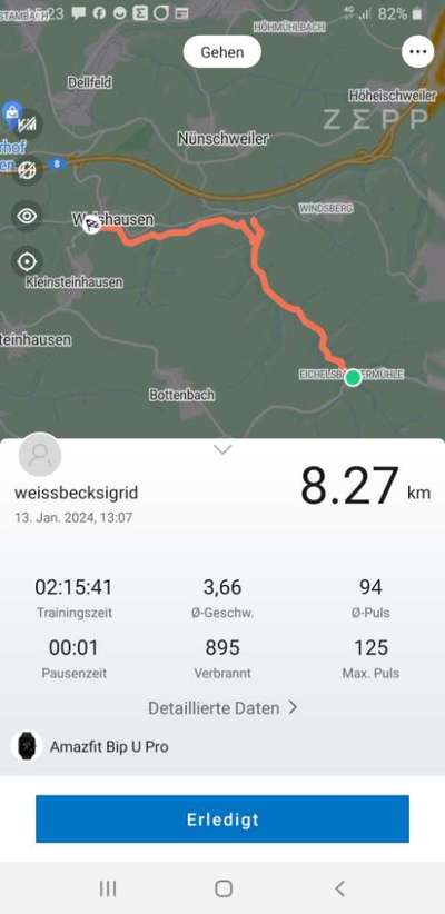 Rhodesian Ridgeback-Beitrag-Bild