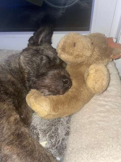 Foto Challenge Nr. 134-Beitrag-Bild