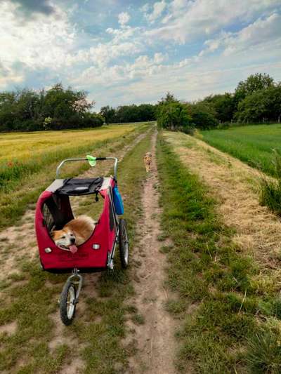 Unterwegs sein-Beitrag-Bild