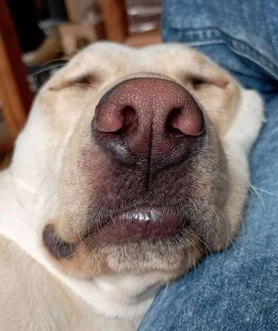 Außergewöhnliche Merkmale-Beitrag-Bild