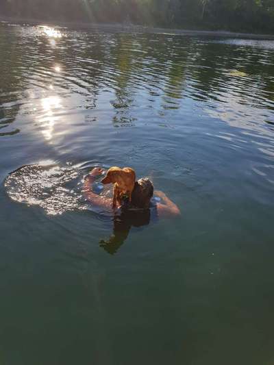 Dogorama-Monats-Challenge-Mai "Wasser"-Beitrag-Bild