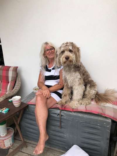 Zeigt her eure Pudel und Pudelmischlinge (:-Beitrag-Bild