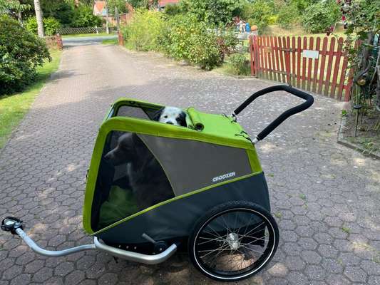 Croozer Dog XL Jokke oder XXL Erfahrungsberichte gesucht-Beitrag-Bild