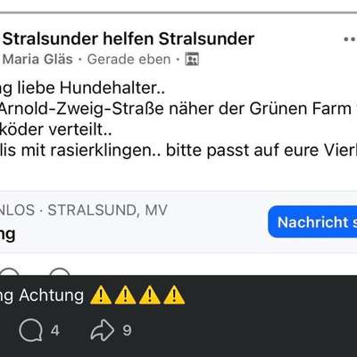 Giftköder-Giftköder mit Rasierklingen-Bild