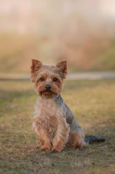 Lieblingsbild :D-Beitrag-Bild