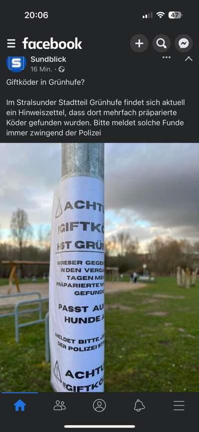 Giftköder-Hinweiszettel  ,,Giftköder" in Grünhufe-Bild