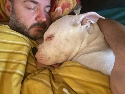 Darf der Hund bei Euch im Bett schlafen?-Beitrag-Bild
