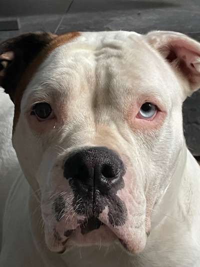 Fotochallange Nr. 57     PORTRÄT.   Beendet!!!!!!!!-Beitrag-Bild