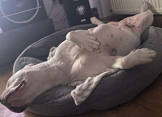 Foto-Challange No.1 - Alles aber nicht die Kamera-Beitrag-Bild