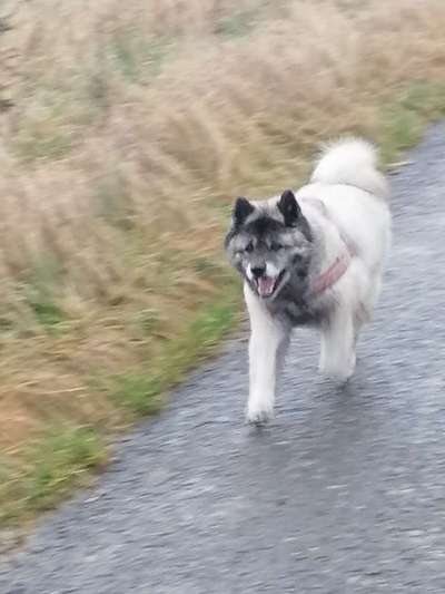 Lieblingsbild-Beitrag-Bild