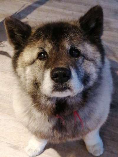 Fotochallange Nr. 57     PORTRÄT.   Beendet!!!!!!!!-Beitrag-Bild