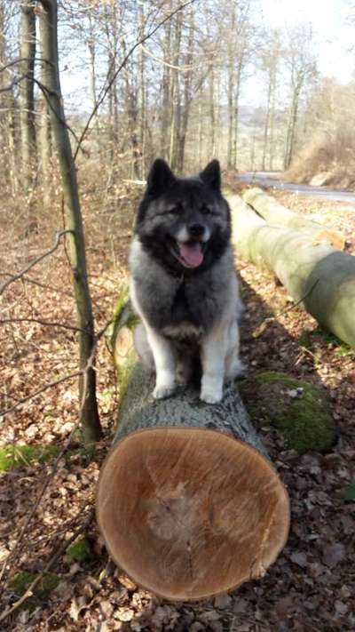 Lieblingsbild-Beitrag-Bild