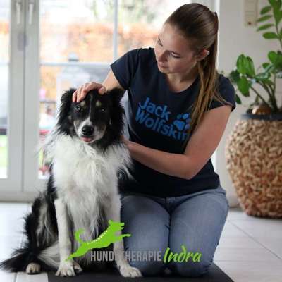 Medizinische Dienstleistungen-Hundetherapie Indra-Bild