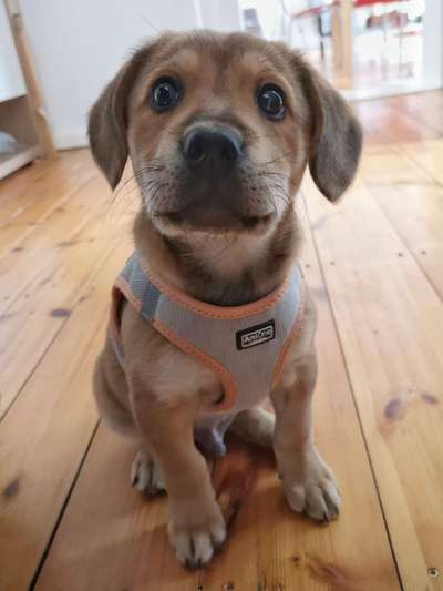 Lieblingsbild :D-Beitrag-Bild