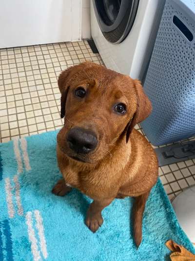 25. Farben Fotochallenge ,,Bernstein"-Beitrag-Bild