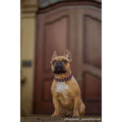 Lieblingsbild-Beitrag-Bild