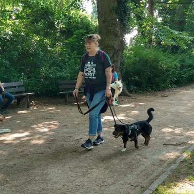 Hundetreffen-Regelmäßiger Hundekontakt am Volkspark Prenzlauer Berg-Bild