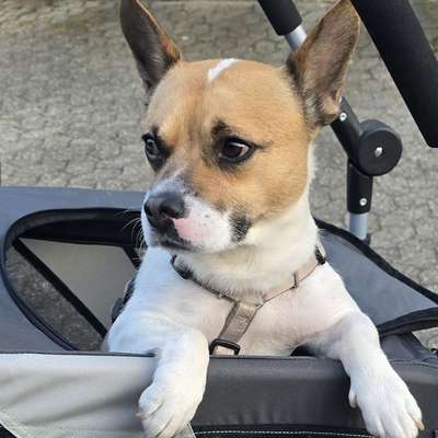 Iv's Profilbild