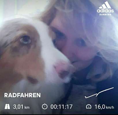 Bikejöring-Beitrag-Bild