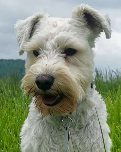 Fotochallange Nr. 57     PORTRÄT.   Beendet!!!!!!!!-Beitrag-Bild