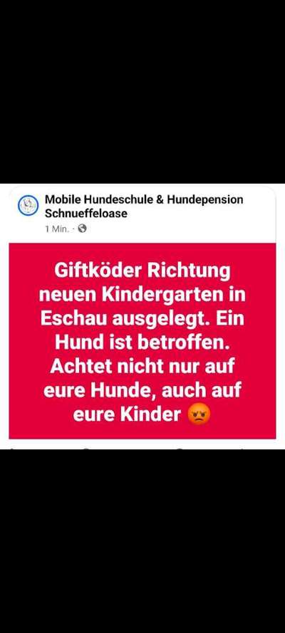Giftköder-Giftköder Nähe neuer Kindergarten-Bild