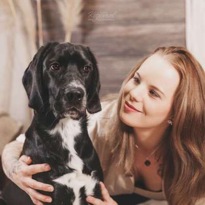 Hundetreffen-Gassi gehen Spaziergang mit Hunden-Bild