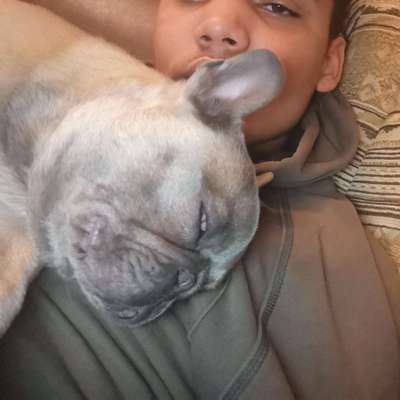 Hundetreffen-Spaziergang + Spielzeit