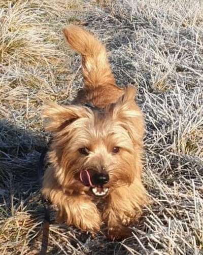 Fotowettbewerb Natur-Beitrag-Bild