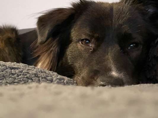 Fotochallange Nr. 57     PORTRÄT.   Beendet!!!!!!!!-Beitrag-Bild