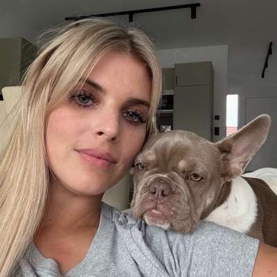 Hundetreffen-Hundetreff