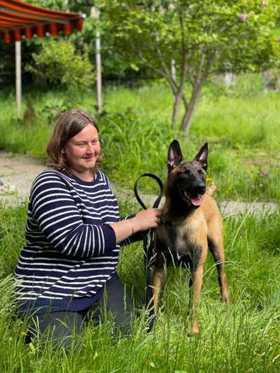 Die Dogorama Monats Challenge "Es grünt und blüht"-Beitrag-Bild