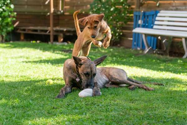 Fotochallenge 69-Beitrag-Bild