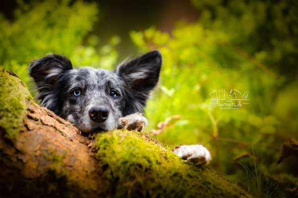 Zeigt eure Portraits-Beitrag-Bild